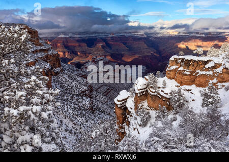 Neige du Grand Canyon après une tempête de neige hivernale dans le parc national du Grand Canyon, Arizona, États-Unis Banque D'Images