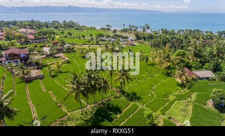 Vue unique sur la baie de Pelabuhan Ratu (également connu sous le Palabuhan Ratu) avec ses rizières et cocotiers. Banque D'Images