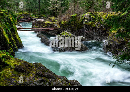 Little Qualicum Falls Provincial Park, Parksville, île de Vancouver, BC, Canada Banque D'Images