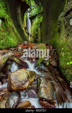 Sombrio Beach Canyon, Juan de Fuca Trail, près de Port Renfrew, l'île de Vancouver, BC Canada Banque D'Images