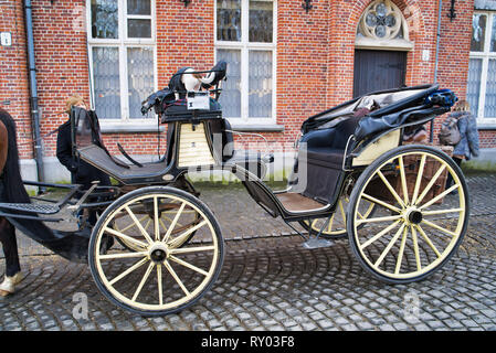 BRUGES, BELGIQUE - 17 février 2019 : transport de chevaux avec un chien sur le siège Banque D'Images