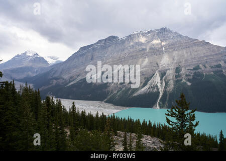 Des scènes de la nature dans de beaux parcs nationaux de Banff à Jasper. Banque D'Images