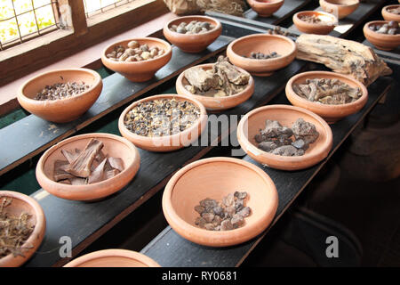 Close up d'ingrédients de traitement ayurvédique - épices, racines, herbes aromatiques, Sri Lanka Banque D'Images