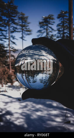 La Forêt verte et la neige vue par bille de verre cristal clair. La photographie créative, crystal ball réfraction Banque D'Images
