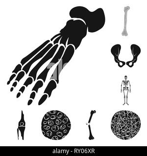 Fémur,pieds,de,la hanche,appareil locomoteur Fracture,fibres,ostéoporose,cheville,bony,joints,sain,scientifique,la douleur,cell,jambe,bassin,tissu,biais,squelettique, la podologie, la chirurgie du genou,,system,dommage,musculaire,avant-pied,conjonctif,tibia,biologie,corps médical,os,,squelette anatomie,des,organes,médecine,clinique,,set,icône,,illustration,collection,isolé,design,graphisme,élément,signer,Black,de simples vecteurs vecteur , Illustration de Vecteur