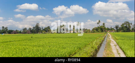 Panorama d'une piste cyclable à travers les rizières près de Ubud à Bali, Indonésie Banque D'Images