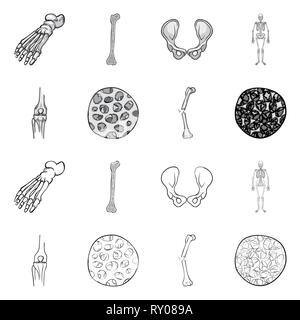 Fémur,pieds,de,la hanche,appareil locomoteur Fracture,fibres,ostéoporose,cheville,bony,joints,sain,scientifique,la douleur,cell,jambe,bassin,tissu,biais,squelettique, la podologie, la chirurgie du genou,,system,dommage,musculaire,avant-pied,conjonctif,tibia,body,cartilage épithélium,médecine,clinique,biologie,médical,os,,squelette anatomie,des,organes,,set,icône,,illustration,collection,isolé,design,graphisme,élément vecteur vecteurs,signer , Illustration de Vecteur