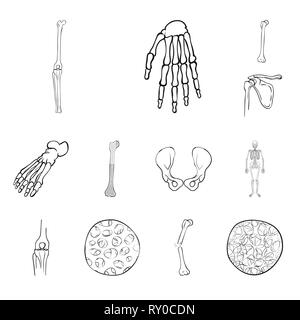 Genou,poignet,fémur,foot,,hanche,l'appareil locomoteur Fracture,fibre,ostéoporose,joints,occasion,casse,bassin,cheville osseuse,scientifique,sain,,la douleur,cell,tibia,bras,chirurgie,avant-pied,l'épithélium conjonctif,squelettique,jambe,carpe,DE,panneaux,médecine, biologie médicale, clinique,os,squelette anatomie,,des,organes,,set,icône,illustration,isolé,collection,design,élément,graphique,signe,ligne,plan,vecteurs vecteur , Illustration de Vecteur