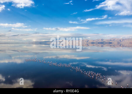 Lac Rose Maharlou près de Shiraz en Iran, prendre en janvier 2019 prises en hdr Banque D'Images