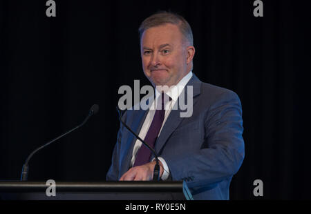 Député fédéral Anthony Albanese lors d'un événement d'entreprise à Melbourne, mars 2019 Banque D'Images