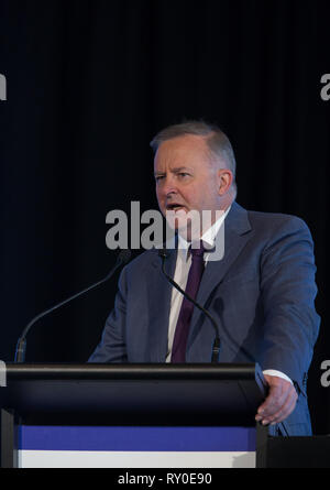 Député fédéral Anthony Albanese lors d'un événement d'entreprise à Melbourne, mars 2019 Banque D'Images