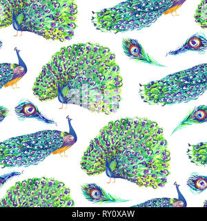 Paons debout avec fermé et ouvert, des plumes de queue, un pattern design, illustration aquarelle peinte à la main, fond blanc Banque D'Images
