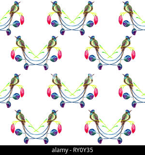 Hummingbird assis sur fleur rose, transparente , pattern design, illustration aquarelle peinte à la main, fond blanc Banque D'Images