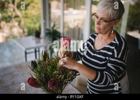 Portrait of a senior woman ajouter un à un bouquet de fleurs protea. Femme âgée bénéficiant d'organiser les fleurs comme un passe-temps Banque D'Images