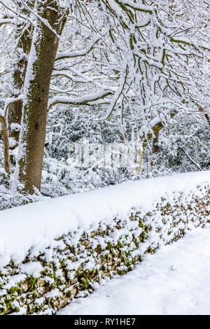 Propriétés forestières couvertes de neige près de la ville de Cotswold Wotton under Edge, Gloucestershire UK Banque D'Images