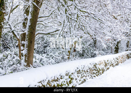 Propriétés forestières couvertes de neige près de la ville de Cotswold Wotton under Edge, Gloucestershire UK Banque D'Images