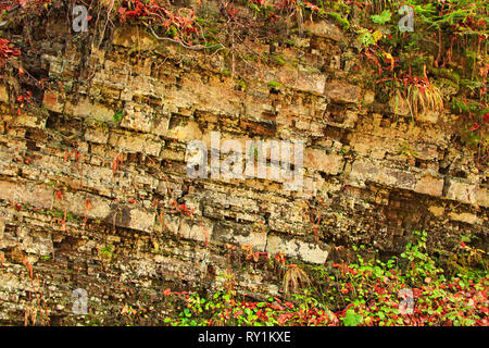 Les couches rocheuses en montagne. Des couches de roches de pierre. La géologie. Carpates Banque D'Images