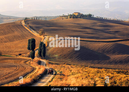 Cyprès à Agriturismo Baccoleno près de Asciano en Toscane Italie Banque D'Images