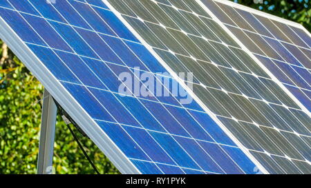 Le panneau solaire bleu avec un arbre à l'arrière. Panneau solaire fait référence à un groupe spécial conçu pour absorber les rayons du soleil comme source d'énergie pour la production d'elec Banque D'Images