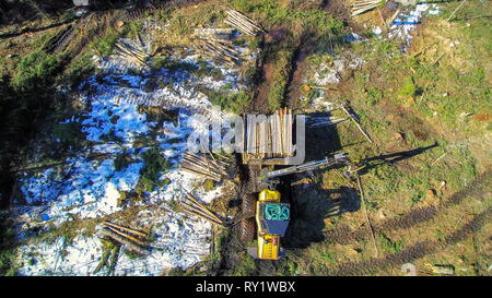 La vue aérienne de l'abatteuse forestière au travail tout en saisissant des piles de journaux sur le terrain Banque D'Images