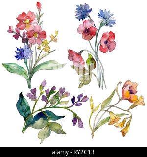 Bouquet de fleurs sauvages fleurs botanique floral. Jeu de fond à l'aquarelle. Fleurs sauvages isolées de l'élément d'illustration. Banque D'Images