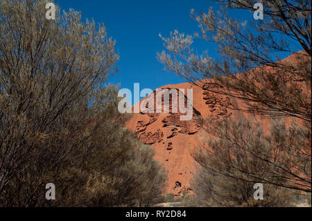 Uluru, dans le Territoire du Nord, Australie Banque D'Images