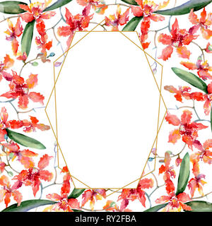 Branche d'orchidées de corail. Botanique Floral fleur. Contexte aquarelle illustration set. Bordure de cadre carré ornement. Banque D'Images