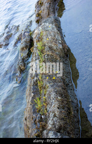 Affleurement rocheux en été le long du lac avec moss Banque D'Images