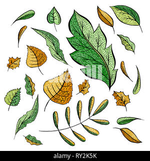 Les feuilles d'automne illustrations faites main marqueur défini. Battant isolé cliparts. Frais vert, jaune d'automne leaf collection. Le chêne, le bouleau, le noyer feuillage dessins. Carte de souhaits natural design Banque D'Images