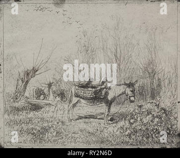 Un âne dans le domaine, impression d'origine 1862, imprimé en 1921. Charles François Daubigny (Français, 1817-1878). Cliché-verre ; feuille : 17,4 x 20,9 cm (6 7/8 x 8 1/4 in.) ; platemark : 16,8 x 20 cm (6 5/8 x 7 7/8 po Banque D'Images