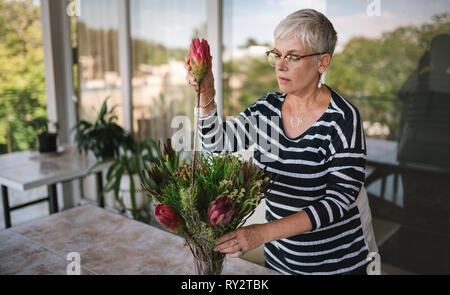 Portrait of a senior woman ajouter un à un bouquet de fleurs protea. Femme âgée bénéficiant d'organiser les fleurs comme un passe-temps Banque D'Images