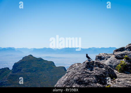 La vue depuis la montagne de la Table, Cape Town, Afrique du Sud Banque D'Images