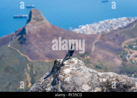 La vue depuis la montagne de la Table, Cape Town, Afrique du Sud Banque D'Images