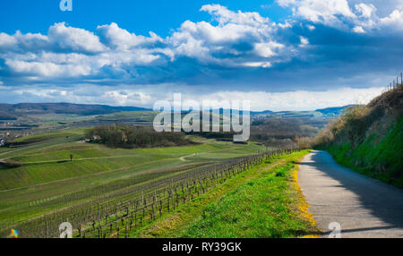 Le Kaiserstuhl sont en Allemagne au début du printemps Banque D'Images