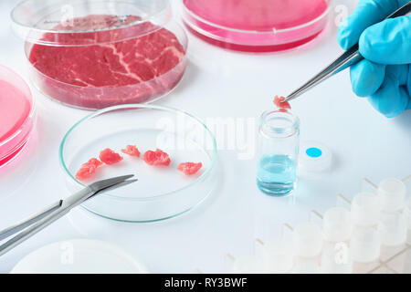 Échantillon de viande en boîte de culture cellulaire jetables en plastique dans un laboratoire moderne ou installation de production. L'étiquette écrite sur le plat a été générée fo Banque D'Images