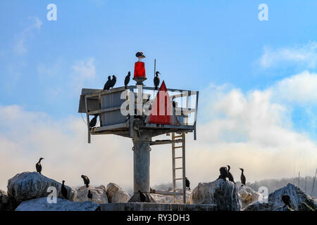 Cormorans sur une station de la Garde côtière canadienne lookout avec gyrophare rouge construit sur des rochers comme guide ou témoin d'un port contre un ciel nuageux ciel bleu Banque D'Images