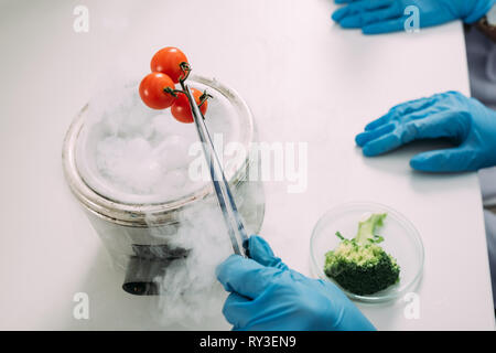 Portrait de femmes scientifiques expérimentant avec de la glace sèche et les légumes dans le laboratoire chimique Banque D'Images