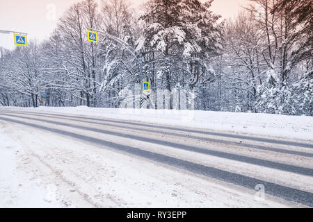 Paysage d'hiver avec une route asphaltée qui vide à travers la forêt Banque D'Images