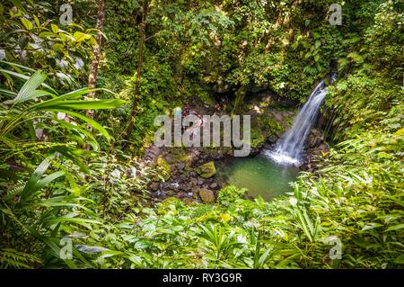 Château la Dominique, Bruce, Parc national du Morne Trois Pitons inscrits sur la Liste du patrimoine mondial par l'UNESCO, dans le sous-bois tropicaux, vue plongeante sur la piscine d'Emeraude et sa cascade Banque D'Images