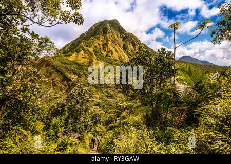 La Dominique, Parc national du Morne Trois Pitons inscrits sur la Liste du patrimoine mondial de l'UNESCO, deux randonneurs sur une crête au milieu de la forêt tropicale, sur la piste vers le lac d'ébullition Banque D'Images