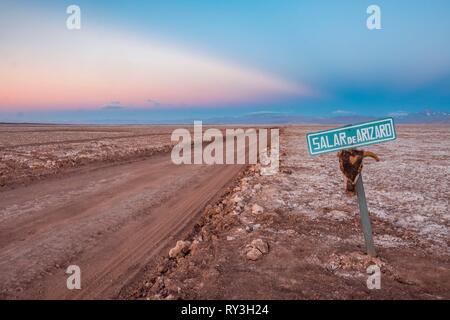 L'Argentine, la province de Salta, dans le désert de la Puna, Tolar Grande, Salar de Arizaro Banque D'Images