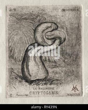L'aspect maladif, 1860 des cryptogames. Charles Meryon (Français, 1821-1868). Eau-forte Banque D'Images