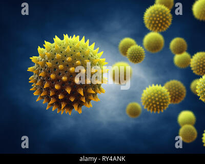 L'allergie au pollen est également connu sous le nom de rhume des foins ou rhinite allergique, grains de pollen microscopique Banque D'Images