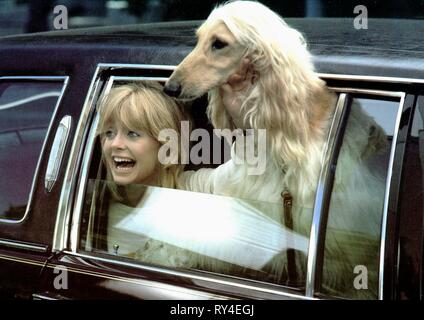 GOLDIE HAWN, protocole, 1984 Banque D'Images
