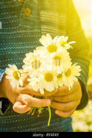Petit Enfant tient un bouquet de fleurs Daisy Banque D'Images
