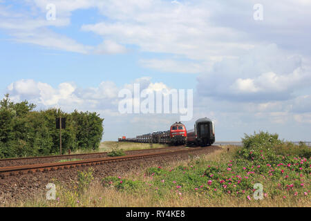 Rencontrez des trains sur le Hindenburgdamm hors de l'île de Sylt Banque D'Images