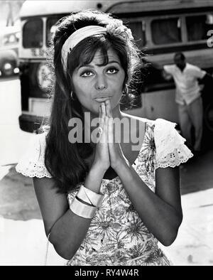 CLAUDIA CARDINALE, UNA ROSA Per Tutti, 1967 Banque D'Images