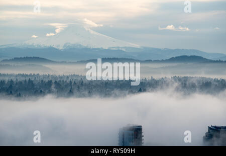 Immeuble de grande hauteur à Portland Oregon's South Waterfront district avec Mt. Capuche dans la distance. Banque D'Images