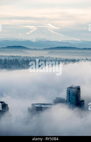 Immeuble de grande hauteur à Portland Oregon's South Waterfront district avec Mt. Capuche dans la distance. Banque D'Images