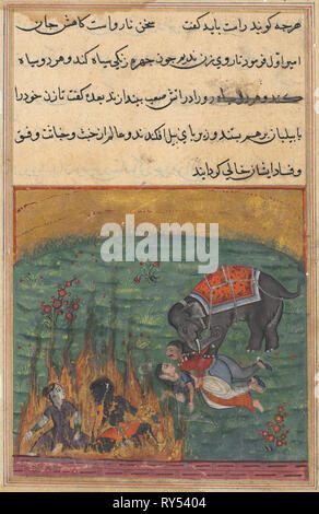 La page de contes d'un perroquet (Tuti-nama) : Vingt-deuxième nuit : à titre de sanction, le bouffon et le Zangi sont jetés dans le feu et la femme de l'émir et le mahout sont piétinées par un éléphant, c. 1560. L'Inde, l'Empire moghol, règne d'Akbar, 16ème siècle. L'aquarelle, l'encre opaque et d'or sur papier Banque D'Images